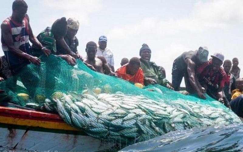 Les acteurs de la pêche Sénégalais invités à investir dans la recherche contre le changement climatique