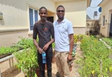 Sénégal : Le programme « Agri-Jeunes » pourrait doubler ses résultats en 2025