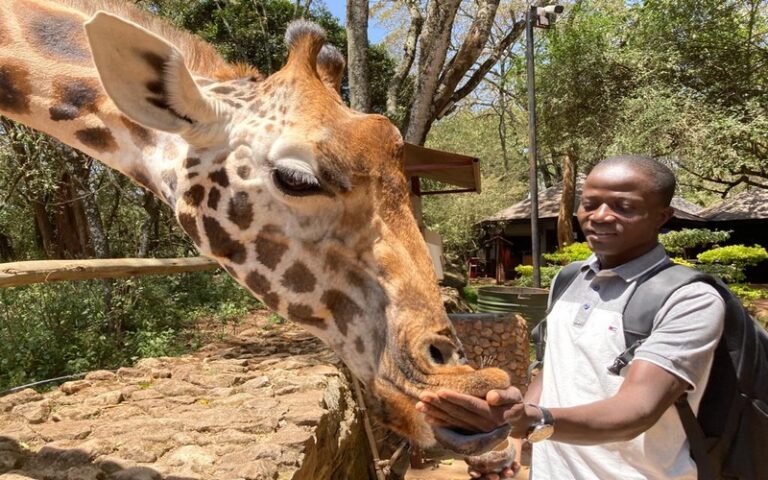 Plus de 20 000 espèces de plantes et animaux en danger de disparition imminente chaque année, alerte le Coordinateur national de l’ONG EAGLE-Togo