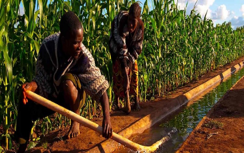 Plus de 22 millions $ du Fonds africain de développement pour soutenir la productivité et la résilience climatique du secteur agricole au Malawi