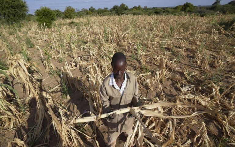 Sécheresse en Afrique australe : La SADC lance un appel de fonds de 5,5 milliards de dollars pour soutenir les populations