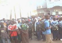 Sénégal : Des élèves du lycée Balla Moussa Daffé de Sédhiou sensibilisés sur les métiers verts par l’ISEP de Mbacké