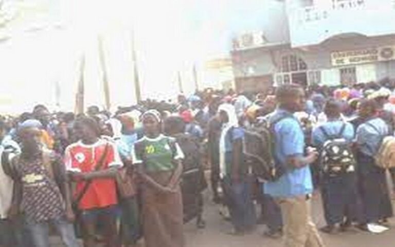 Sénégal : Des élèves du lycée Balla Moussa Daffé de Sédhiou sensibilisés sur les métiers verts par l’ISEP de Mbacké