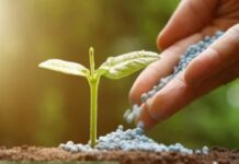 Sénégal : PETROSEN annonce le bouclage du projet de production d’engrais