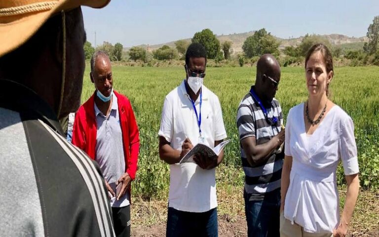 Sommet africain sur les engrais et la santé des sols : La BAD plaide pour l’expansion de l’agritech, des partenariats et de l’accès aux engrais à un prix abordable