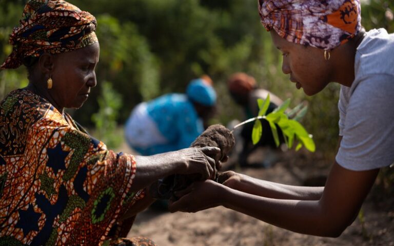 Comment la « génération restauration » peut sauvegarder les terres et les moyens de subsistance en Afrique