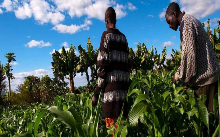 Stratégie 2024-2029 de la BAD : Soutien aux chaînes de valeur agricoles et aux infrastructures énergétiques et de transport au Burundi