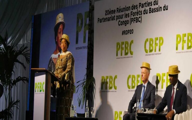 La BAD et ses partenaires mobilisent les acteurs du bassin du Congo sur des financements innovants pour préserver les forêts