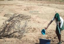 La sécheresse en Afrique australe au menu du sommet des 5 pays de la zone Kavango-Zambèze