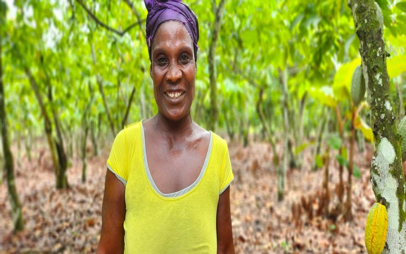 La voie vers l’autonomisation des producteurs de cacao ivoiriens