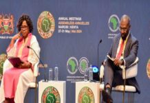 L’atténuation du risque de change dans le financement énergétique doit passer par un nouveau mécanisme financier, selon des experts