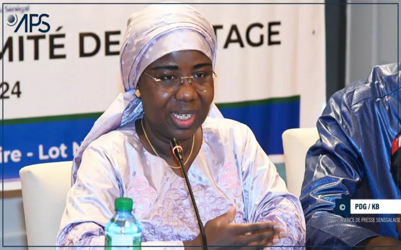 Le Sénégal annonce de nouvelles mesures de surveillance des activités de pêche