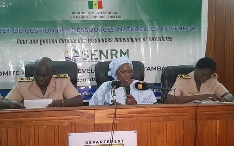 Le Sénégal pourrait aménager six nouvelles forêts communautaires dans la région de Tambacounda
