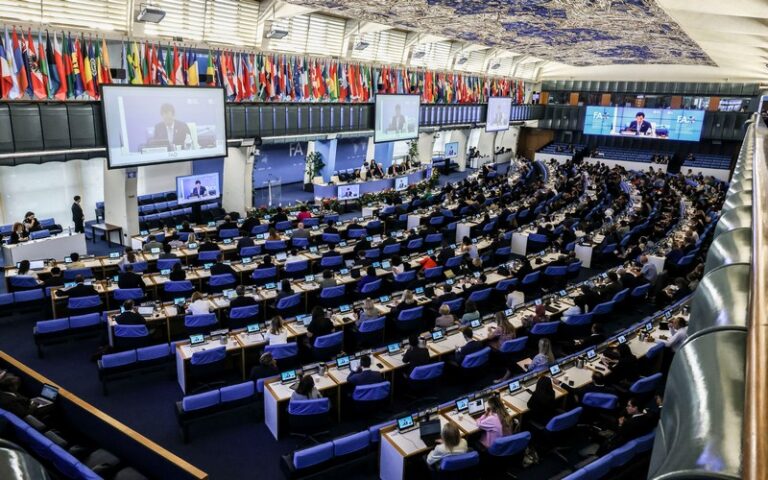 Les membres de la FAO exhortés « à ne pas laisser l’histoire se répéter au travers de famines et de destructions de moyens d’existence »    