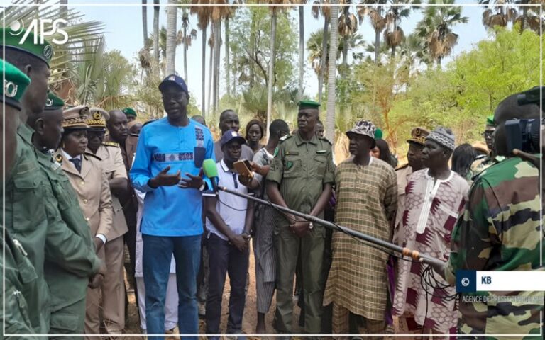 Sénégal : Daouda Ngom promet de redynamiser la réserve de biosphère de Samba Dia, à Fatick