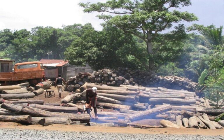 Sénégal : Le directeur général de l’ASERGMV appelle les jeunes à s’activer contre la déforestation et les feux de brousse