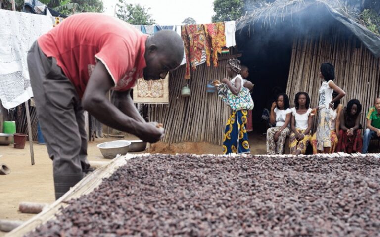 Traçabilité : Une échéance qui se rapproche pour l’Afrique