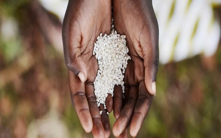Un financement du Programme mondial pour l’agriculture et la sécurité alimentaire approuvé pour mettre en œuvre un projet de nutrition au Liberia