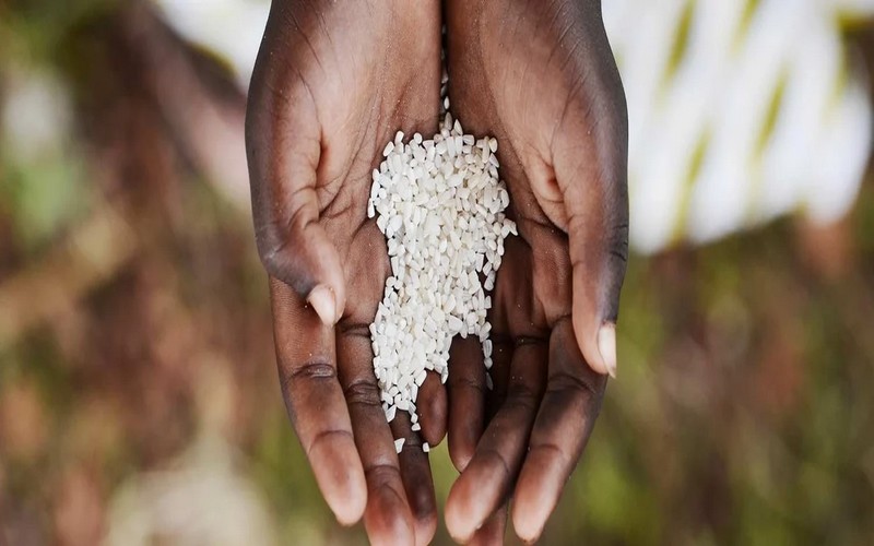 Un financement du Programme mondial pour l’agriculture et la sécurité alimentaire approuvé pour mettre en œuvre un projet de nutrition au Liberia