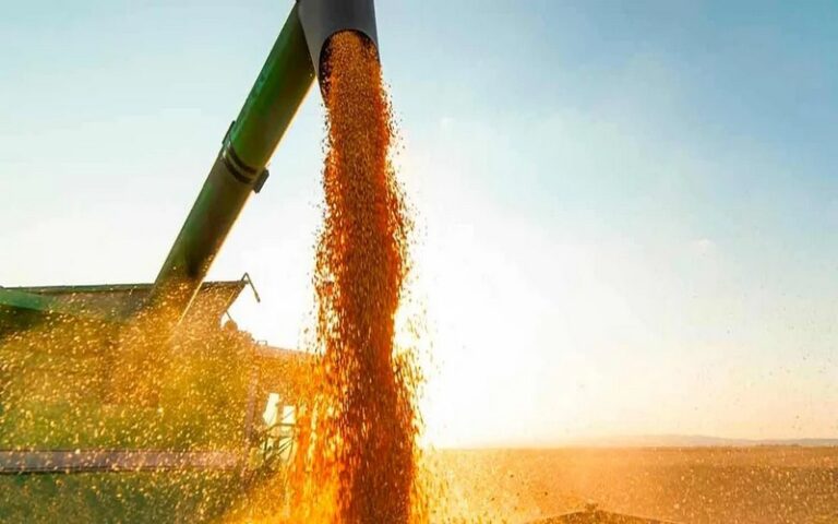 Un projet de la BAD et du PAM stimule la production de blé dans un Soudan déchiré par la guerre et en proie à une famine croissante