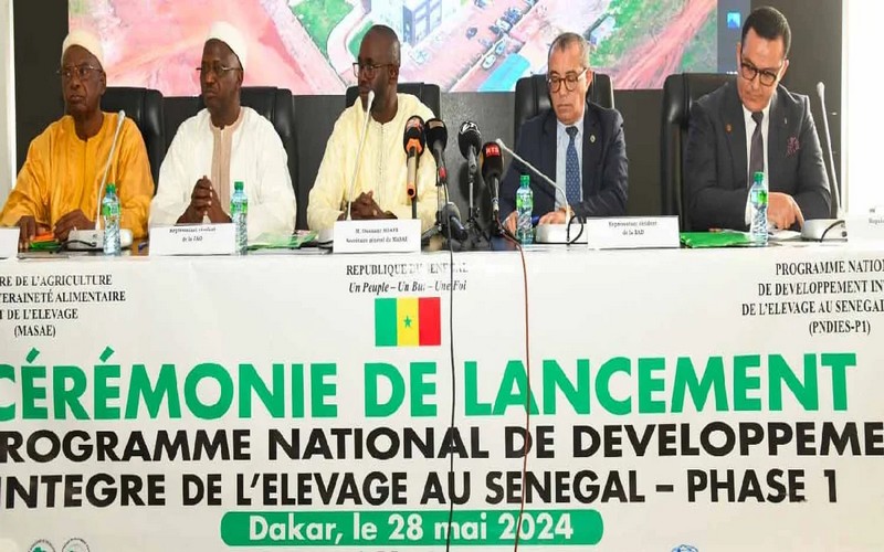 Vers l’accroissement de la qualité des produits d’origine animale au Sénégal