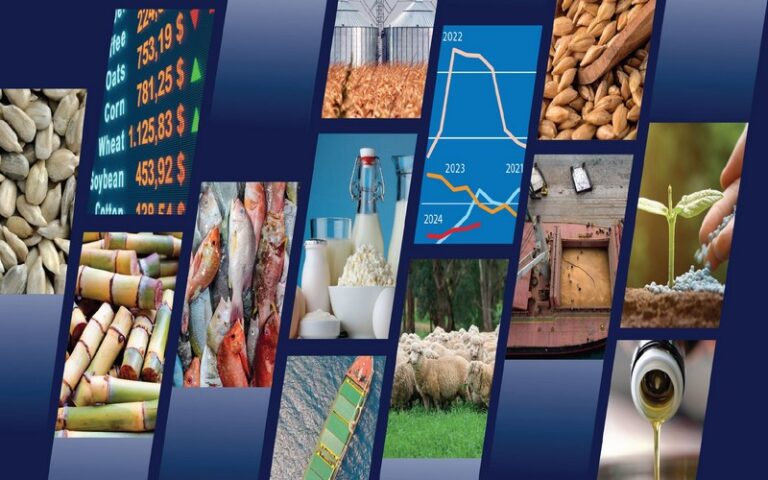 Vers une stabilisation de la plupart des marchés de produits alimentaires en 2024-2025
