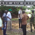Sénégal : Reportage  sur la  visite de presse à la mare aux crocodiles de la commune de Dialambéré (région de Kolda)
