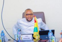 AEW 2024 : La Guinée va promouvoir les opportunités d’investissement dans les secteurs du pétrole, du gaz et de l’énergie régionale