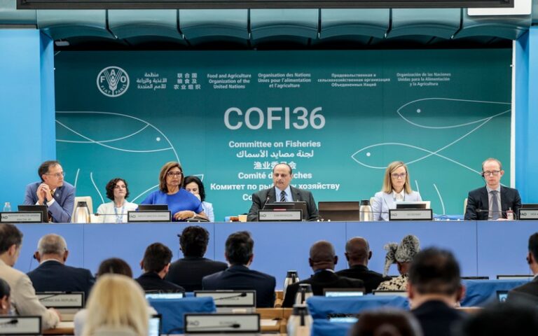 COFI36 : Le rôle vital des pêches et de l’aquaculture dans la lutte contre l’insécurité alimentaire au menu d’une réunion internationale