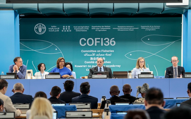 COFI36 : Le rôle vital des pêches et de l’aquaculture dans la lutte contre l’insécurité alimentaire au menu d’une réunion internationale