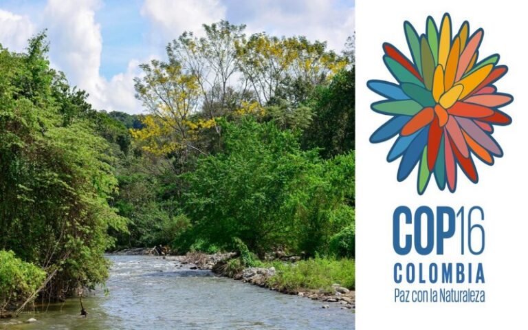Conférence des Nations Unies sur la biodiversité / COP16 à Cali, Colombie : Ouverture de l’accréditation des médias