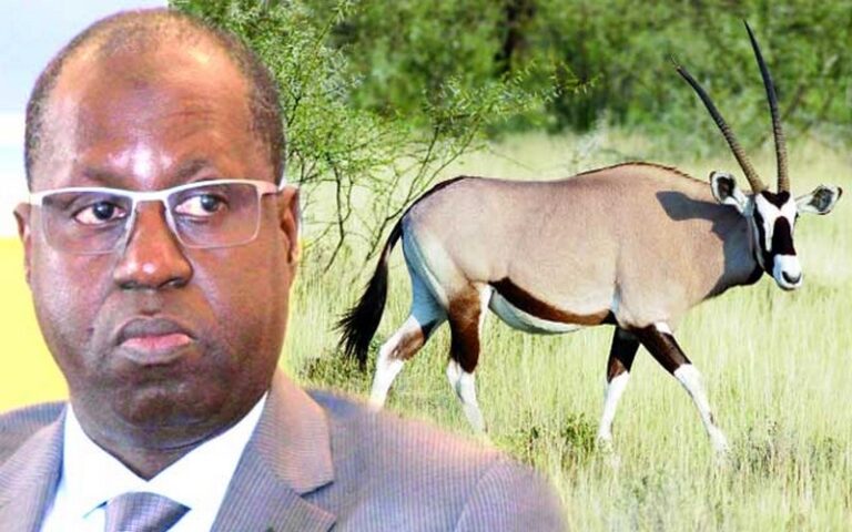 « L’Etat du Sénégal s’oppose au déplacement des oryx vers des domaines privés », selon le ministre de l’Environnement