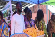 La BAD approuve un prêt de 79 millions de dollars pour dynamiser l’emploi des jeunes dans l’agriculture et les transports en Angola