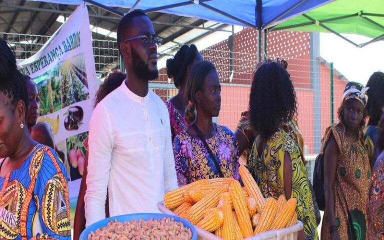 La BAD approuve un prêt de 79 millions de dollars pour dynamiser l’emploi des jeunes dans l’agriculture et les transports en Angola