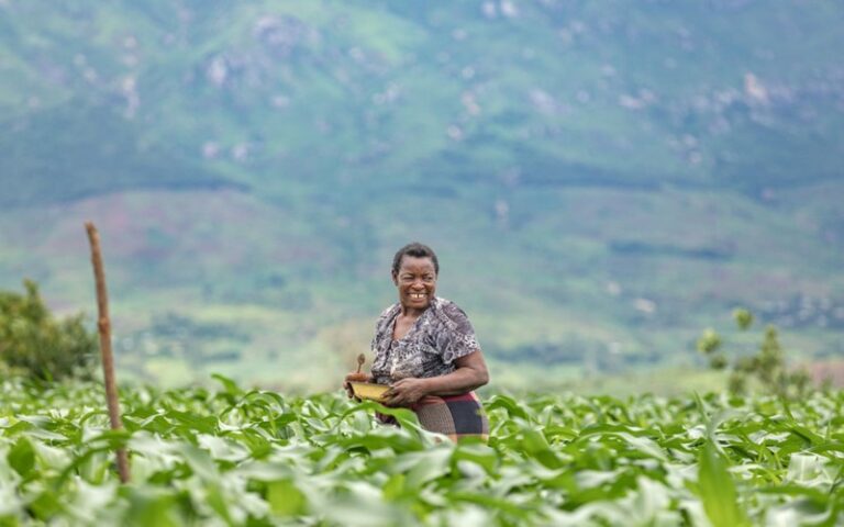 Lancement d’un nouveau programme de développement agricole de 53 millions d’USD au Malawi pour lutter contre l’insécurité alimentaire