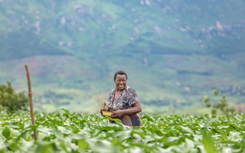 Lancement d’un nouveau programme de développement agricole de 53 millions d’USD au Malawi pour lutter contre l’insécurité alimentaire                        