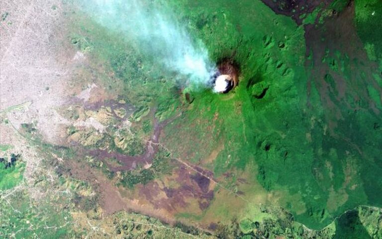 Le conflit en RDC alimente la disparition des forêts