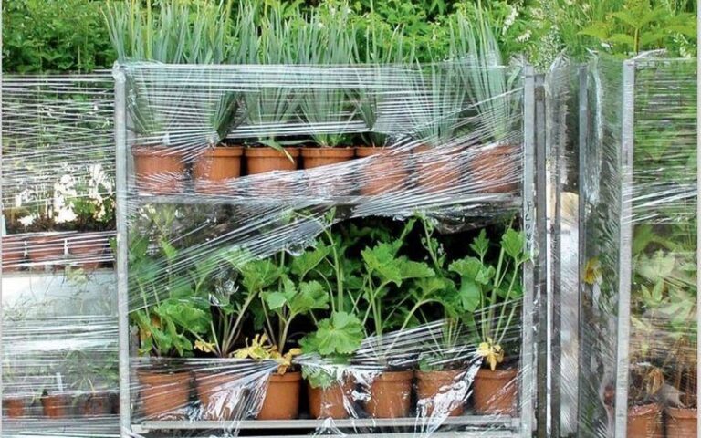 Le directeur Sénégalais de l’horticulture plaide pour une meilleure organisation de la filière horticole ornementale