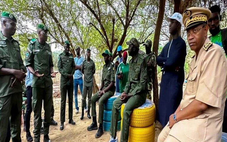 Le gouvernement sénégalais va proposer au président de la République de classer par décret la forêt-galerie de Matam 