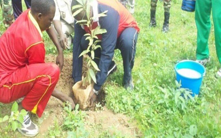 Le ministre Sénégalais de l’Environnement révèle que Touba se prépare à reboiser 80 000 plants sur 50 kilomètres