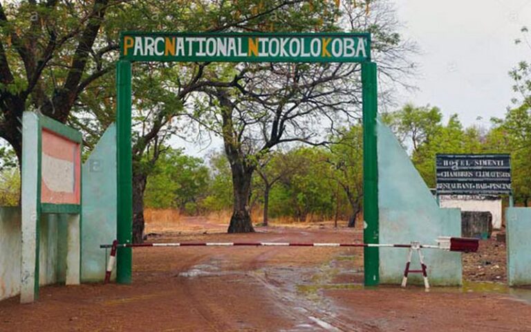 Le parc national de Niokolo-Koba (Sénégal) retiré de la liste du patrimoine mondial en péril de l’UNESCO