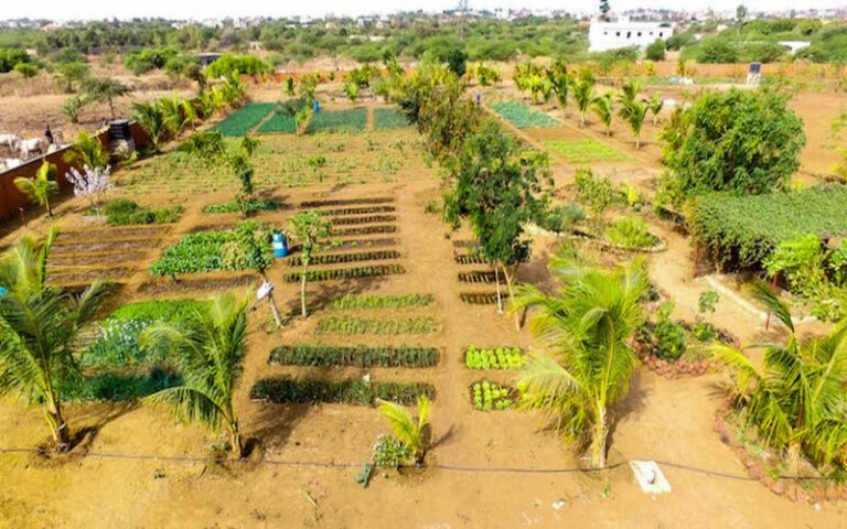 Sénégal : 38 producteurs sélectionnés pour le projet de mise en place des fermes agroécologiques à Mbane