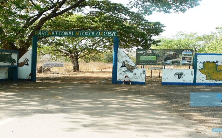 Sénégal : Le ministre de l’Environnement évoque les avantages du retrait du parc du Niokolo-Koba de la liste du patrimoine mondial en péril