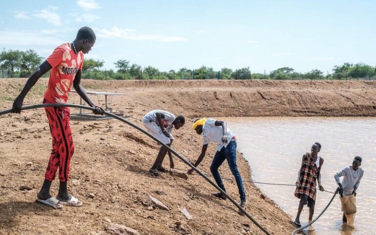 Vers une nouvelle approche du financement destiné à éliminer l’insécurité alimentaire et la malnutrition sous toutes ses formes, selon un rapport des Nations Unies sur la faim