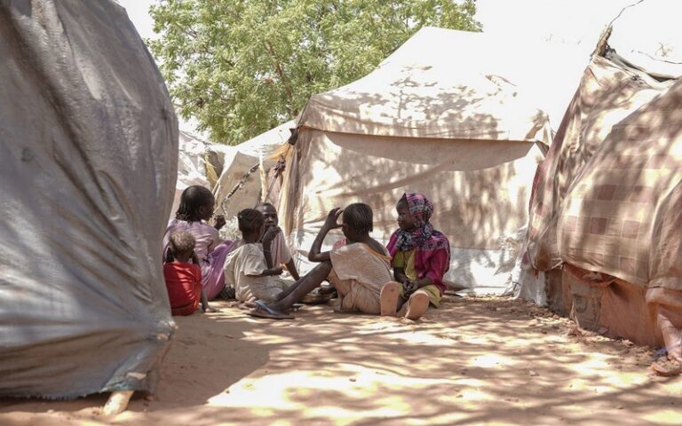 Famine au Darfour du Nord : La FAO exhorte à une aide à grande échelle pour stimuler la production alimentaire locale