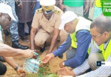 Journée nationale de l’arbre au Sénégal : Le lien entre le reboisement et la souveraineté pharmaceutique mis en exergue