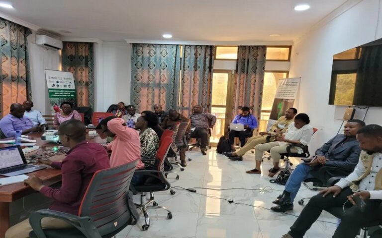 Kinshasa : Atelier de haut niveau pour analyser les rapports sur l’exploitation forestière en RDC