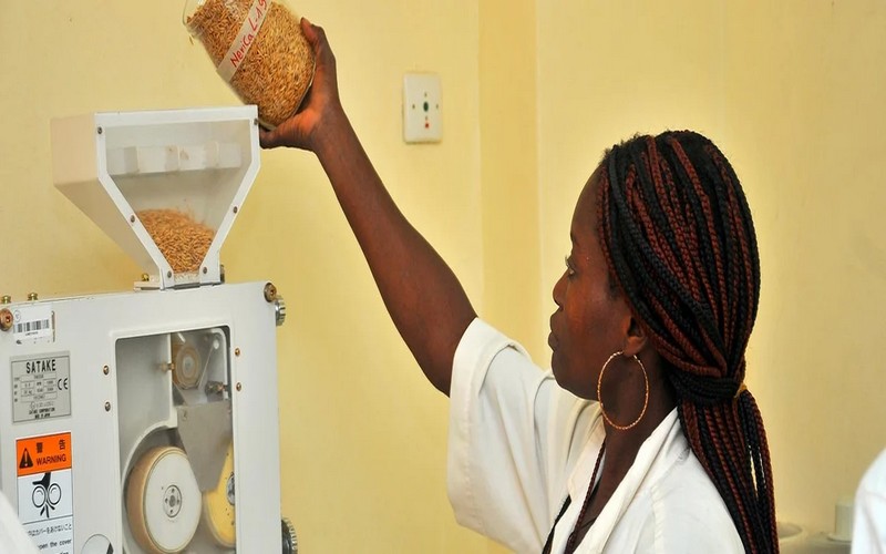 La BAD accorde un prêt de plus de 26 millions de dollars pour développer les filières agricoles clés au Togo 