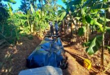 Le SEFA de la BAD approuve une contribution de 10 millions de dollars au Fonds pour l’énergie propre KawiSafi II