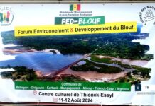 Sénégal : L’ambition du gouvernement d’atténuer « fortement » la déforestation et le trafic illicite de bois en Casamance dévoilée